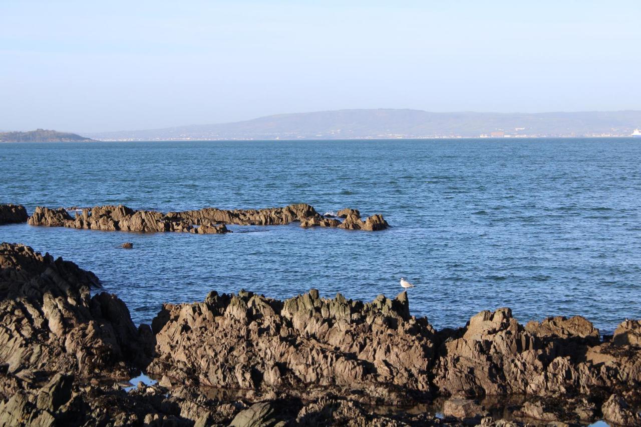 Seacliff Road Apartment Bangor  Esterno foto
